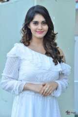 Surbhi at Okka Kshanam Movie Success Celebrations